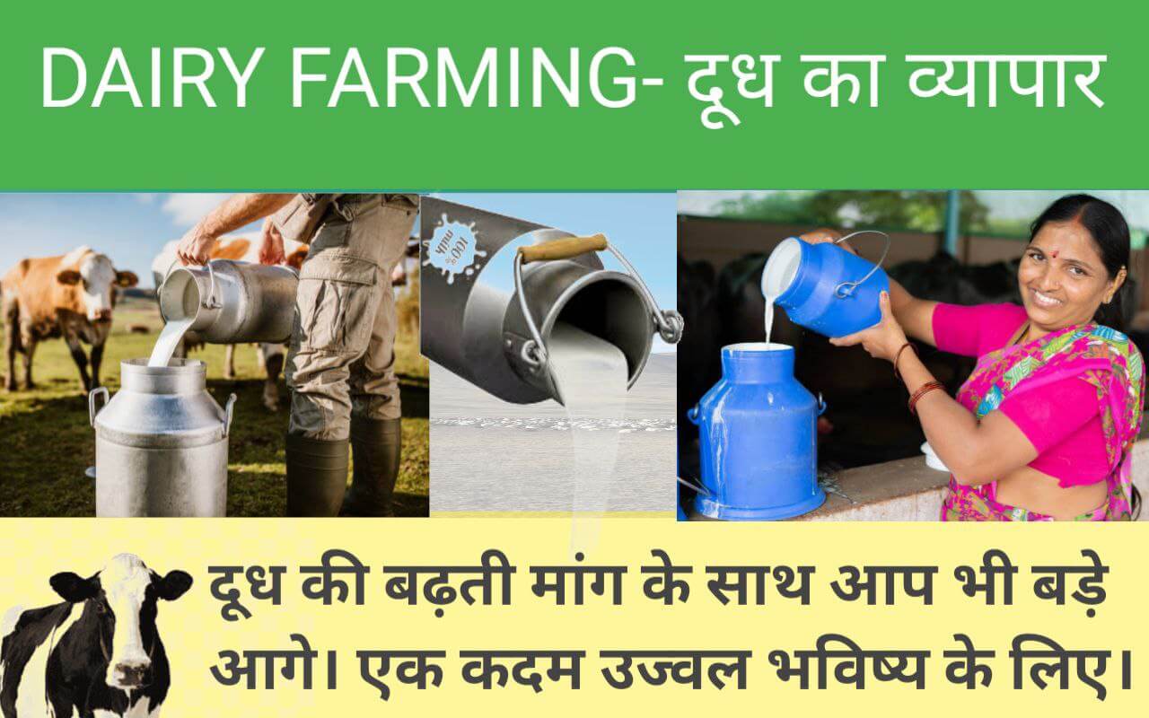 DAIRY FARMING