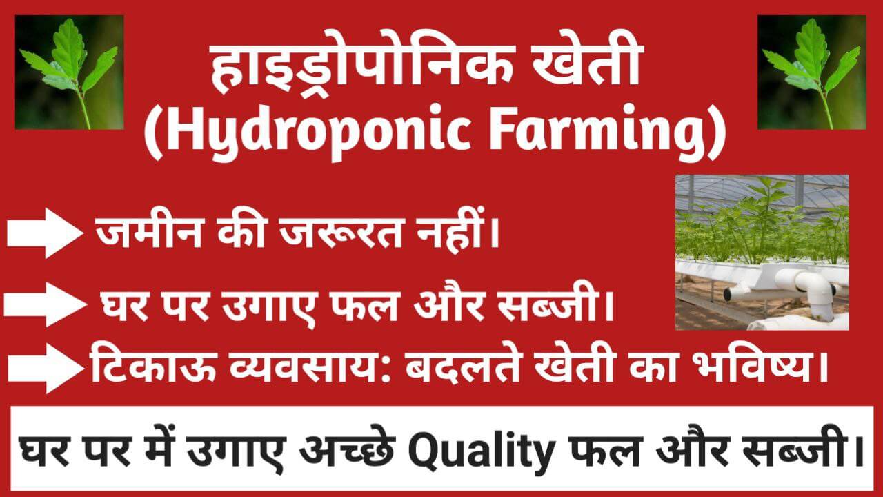 Hydroponic Farming
